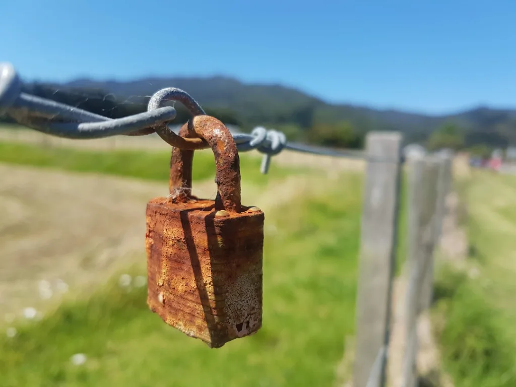 The Protocol Economy: Exploring the Future of Decentralized Ownership Photo Decentralized Ownership