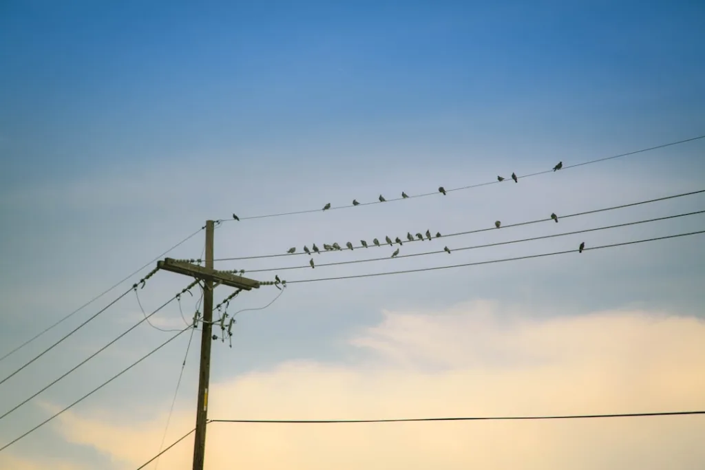 Photo Ultra-Low Latency Networks