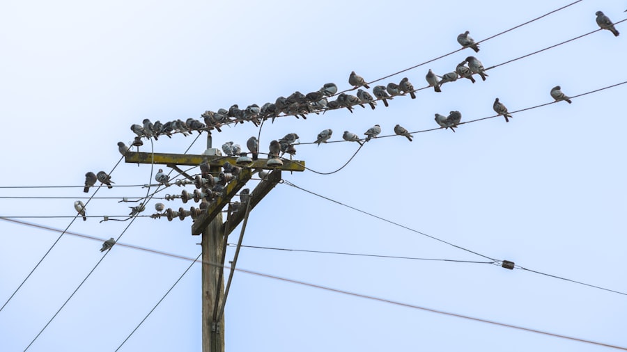 Photo Ultra-Low Latency Networks