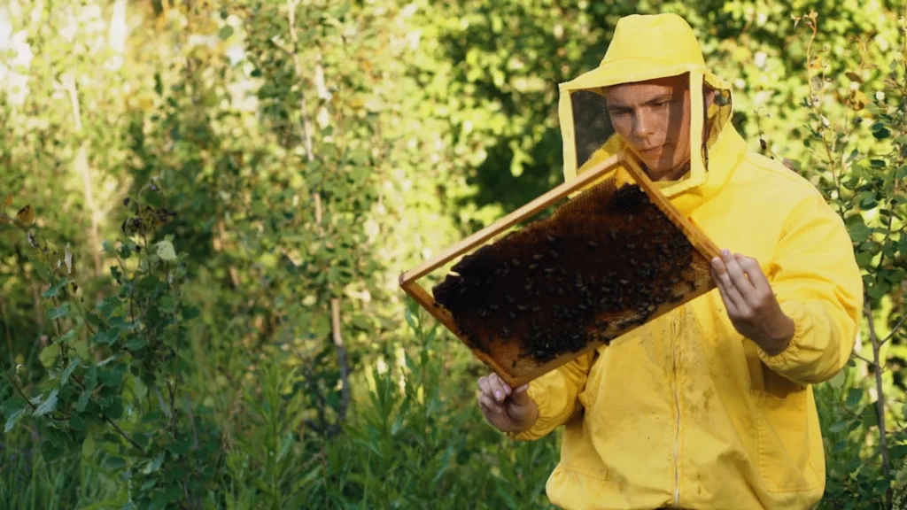 Photo API Monetization