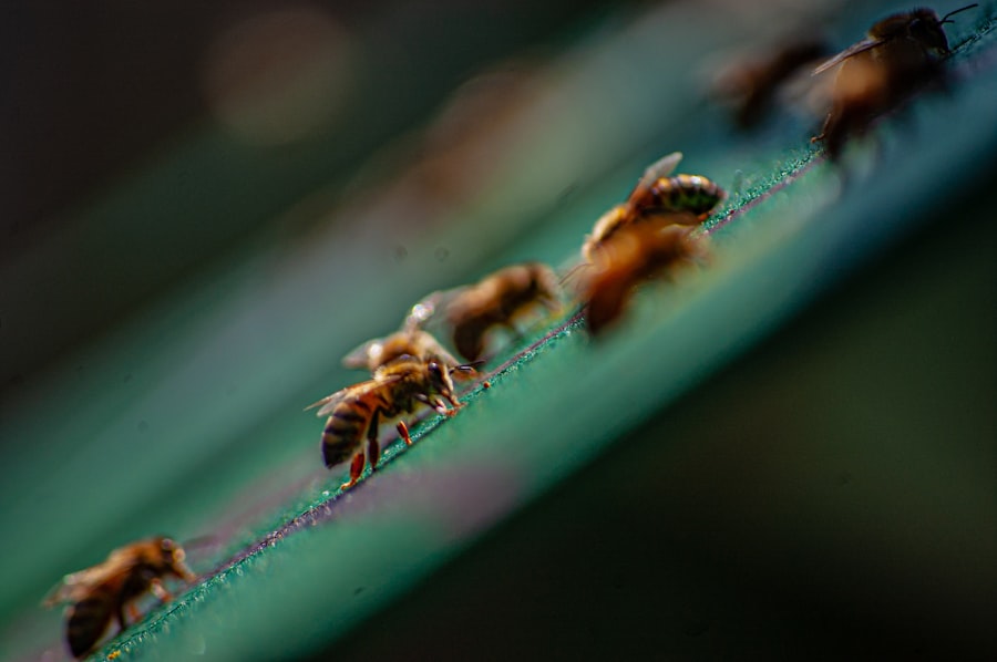 Photo API Security Crisis